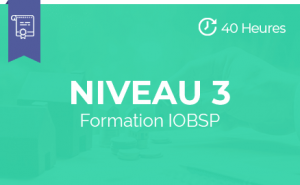 pst niveau 3 formation iobsp