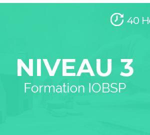 pst niveau 3 formation iobsp