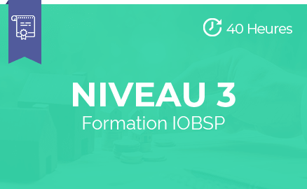 pst niveau 3 formation iobsp